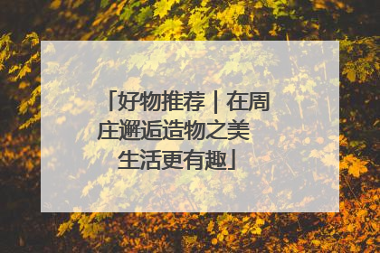 好物推荐｜在周庄邂逅造物之美 生活更有趣
