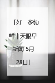 好一多领鲜｜天眼早新闻 5月28日