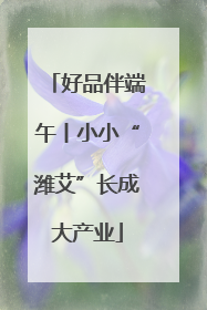 好品伴端午丨小小“潍艾”长成大产业