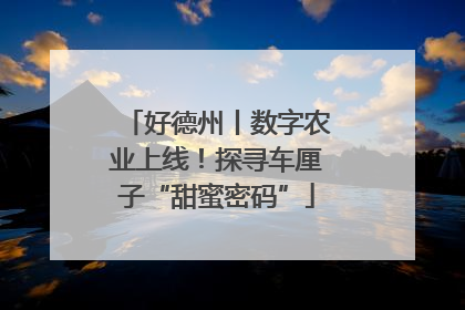 好德州丨数字农业上线！探寻车厘子“甜蜜密码”