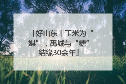 好山东丨玉米为“媒”，禹城与“糖”结缘30余年