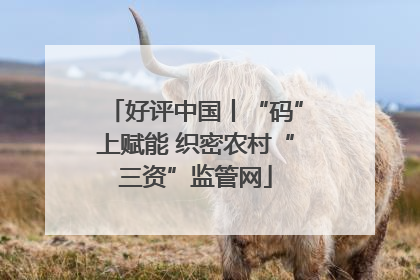 好评中国丨“码”上赋能 织密农村“三资”监管网
