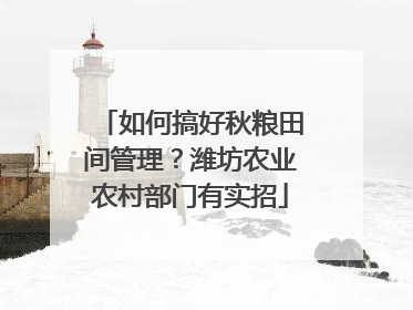 如何搞好秋粮田间管理？潍坊农业农村部门有实招