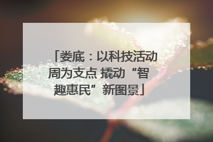 娄底：以科技活动周为支点 撬动“智趣惠民”新图景