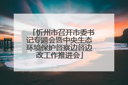 忻州市召开市委书记专题会暨中央生态环境保护督察边督边改工作推进会