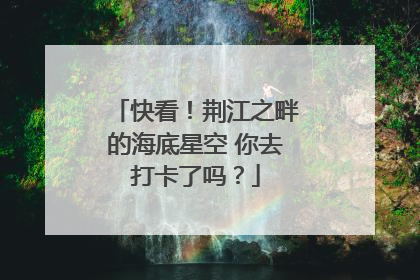 快看！荆江之畔的海底星空 你去打卡了吗？