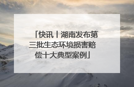 快讯丨湖南发布第三批生态环境损害赔偿十大典型案例