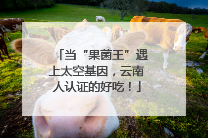 当“果菌王”遇上太空基因，云南人认证的好吃！