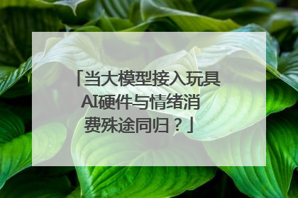 当大模型接入玩具 AI硬件与情绪消费殊途同归？