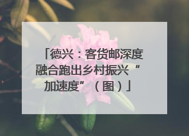 德兴：客货邮深度融合跑出乡村振兴“加速度”（图）