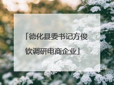德化县委书记方俊钦调研电商企业