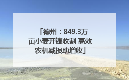 德州：849.3万亩小麦开镰收割 高效农机减损助增收