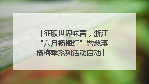 征服世界味蕾，浙江“六月杨梅红”暨慈溪杨梅季系列活动启动