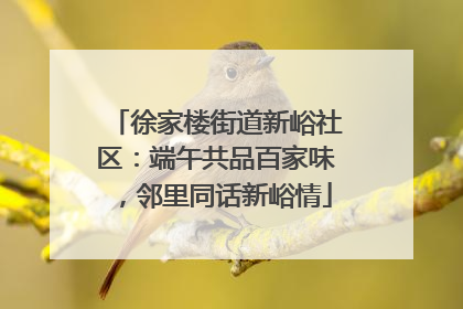 徐家楼街道新峪社区：端午共品百家味，邻里同话新峪情