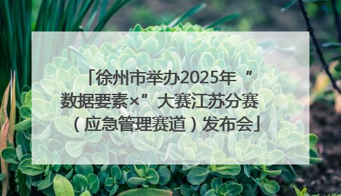 徐州市举办2025年“数据要素×”大赛江苏分赛（应急管理赛道）发布会