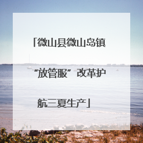微山县微山岛镇“放管服”改革护航三夏生产