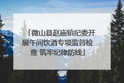 微山县赵庙镇纪委开展午间饮酒专项监督检查 筑牢纪律防线
