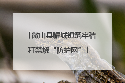 微山县驩城镇筑牢秸秆禁烧“防护网”