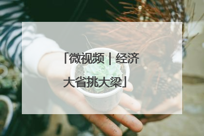 微视频｜经济大省挑大梁