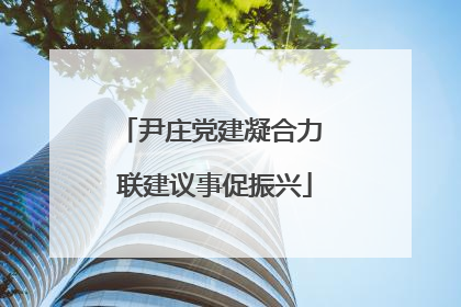 尹庄党建凝合力 联建议事促振兴