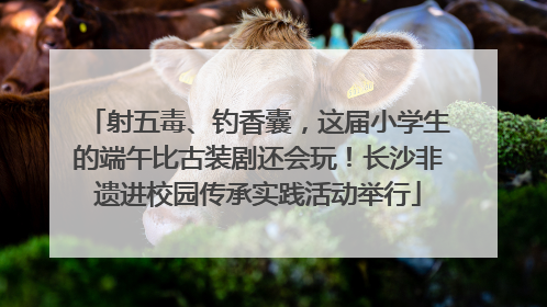 射五毒、钓香囊，这届小学生的端午比古装剧还会玩！长沙非遗进校园传承实践活动举行