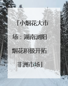小烟花大市场：湖南浏阳烟花积极开拓非洲市场