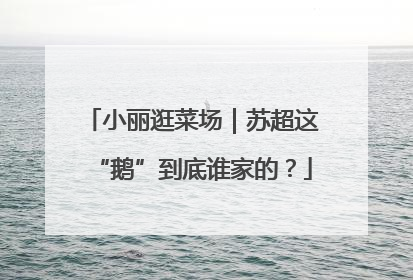 小丽逛菜场｜苏超这“鹅”到底谁家的？