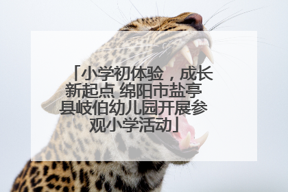 小学初体验，成长新起点 绵阳市盐亭县岐伯幼儿园开展参观小学活动