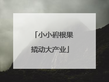 小小碧根果撬动大产业