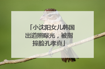 小沈阳女儿韩国出道照曝光，被指撞脸孔孝真