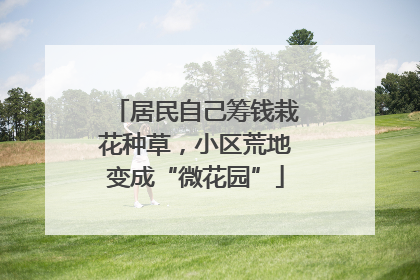 居民自己筹钱栽花种草，小区荒地变成“微花园”