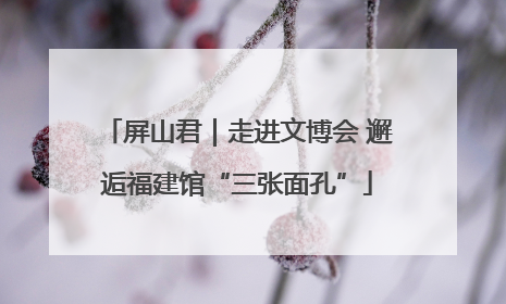 屏山君｜走进文博会 邂逅福建馆“三张面孔”