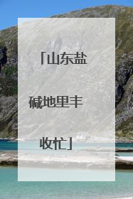 山东盐碱地里丰收忙