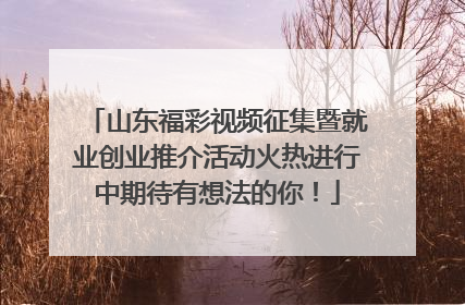山东福彩视频征集暨就业创业推介活动火热进行中期待有想法的你！