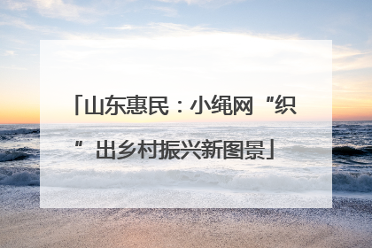 山东惠民：小绳网“织”出乡村振兴新图景