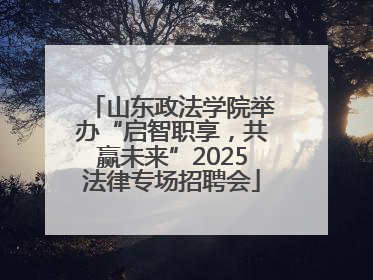 山东政法学院举办“启智职享，共赢未来”2025法律专场招聘会