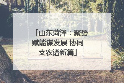 山东菏泽：聚势赋能谋发展 协同支农谱新篇