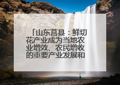 山东莒县：鲜切花产业成为当地农业增效、农民增收的重要产业发展和特色品牌