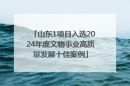 山东1项目入选2024年度文物事业高质量发展十佳案例