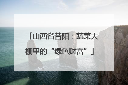 山西省昔阳：蔬菜大棚里的“绿色财富”