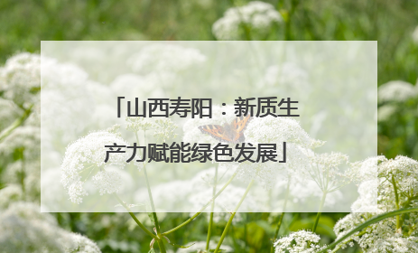 山西寿阳：新质生产力赋能绿色发展