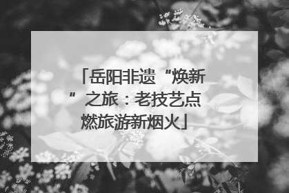 岳阳非遗“焕新”之旅：老技艺点燃旅游新烟火