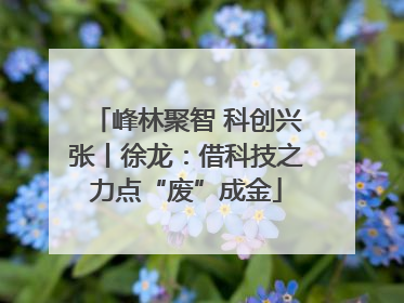 峰林聚智 科创兴张丨徐龙：借科技之力点“废”成金