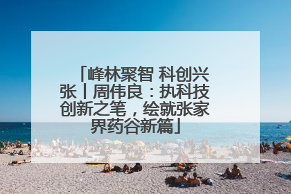 峰林聚智 科创兴张丨周伟良：执科技创新之笔，绘就张家界药谷新篇