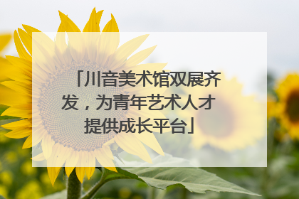 川音美术馆双展齐发，为青年艺术人才提供成长平台