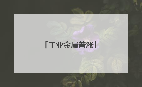 工业金属普涨