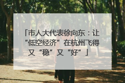 市人大代表徐向东：让“低空经济”在杭州飞得又“稳”又“好”