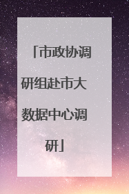 市政协调研组赴市大数据中心调研
