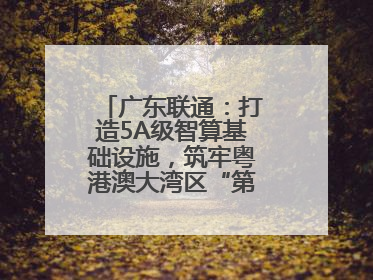 广东联通：打造5A级智算基础设施，筑牢粤港澳大湾区“第一算力引擎”