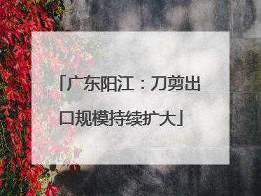 广东阳江：刀剪出口规模持续扩大